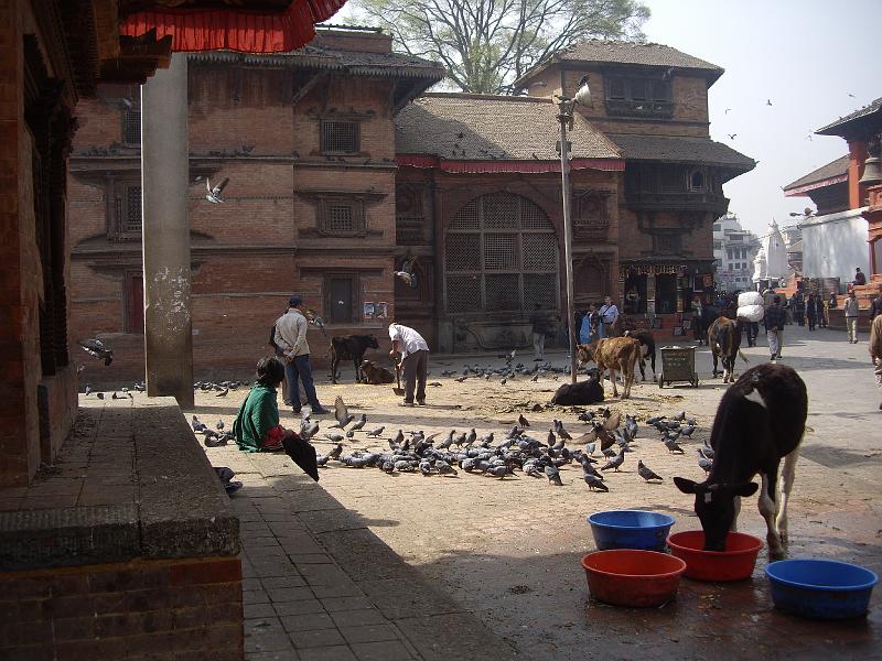 N0750.jpg - Kathmandu, Durbar Square