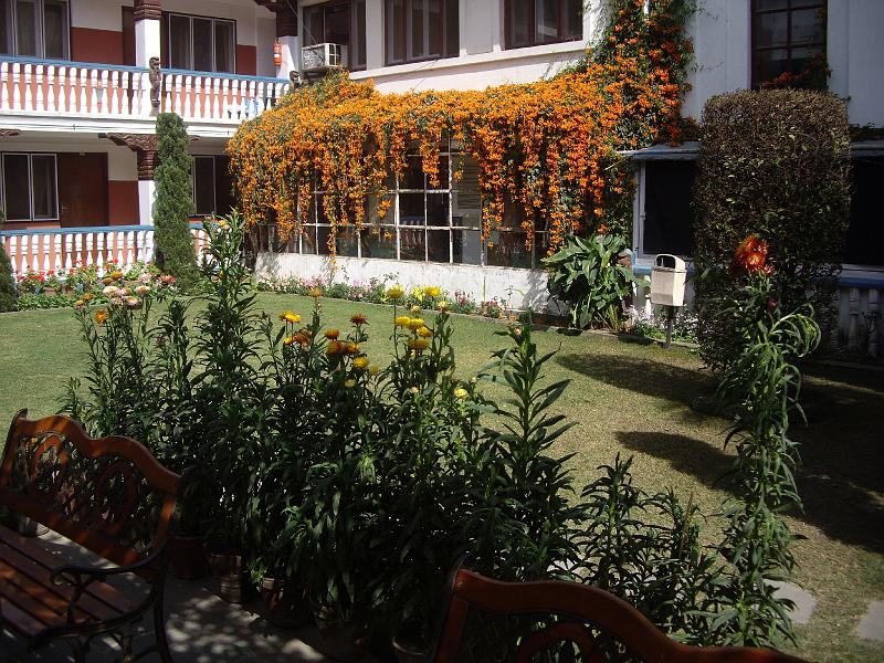 N1240.jpg - Kathmandu, Kathmandu Guest House